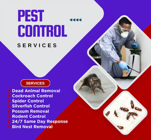 Pest Control Newport